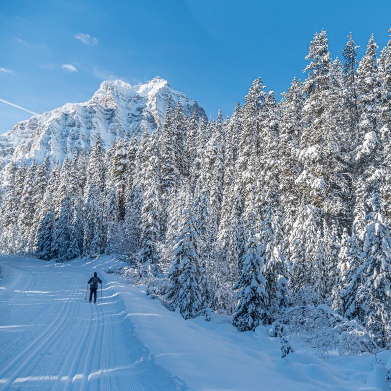 Cross-country skiing in Banff National Park 
