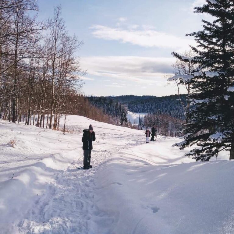 Snowshoeing on a designated trail 