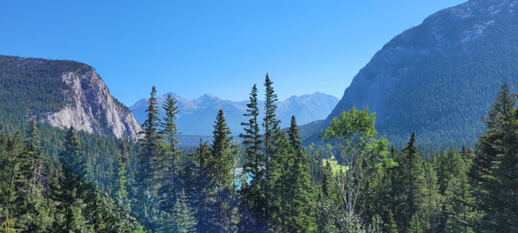Banff in summer with clear blue skies, green trees and sunshine