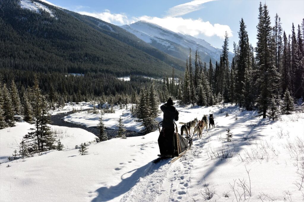 Huskies pulling a sled through the snow covered Canadian Rockies