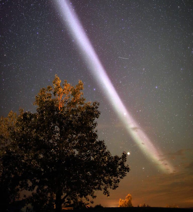 STEVE and northern lights in Alberta