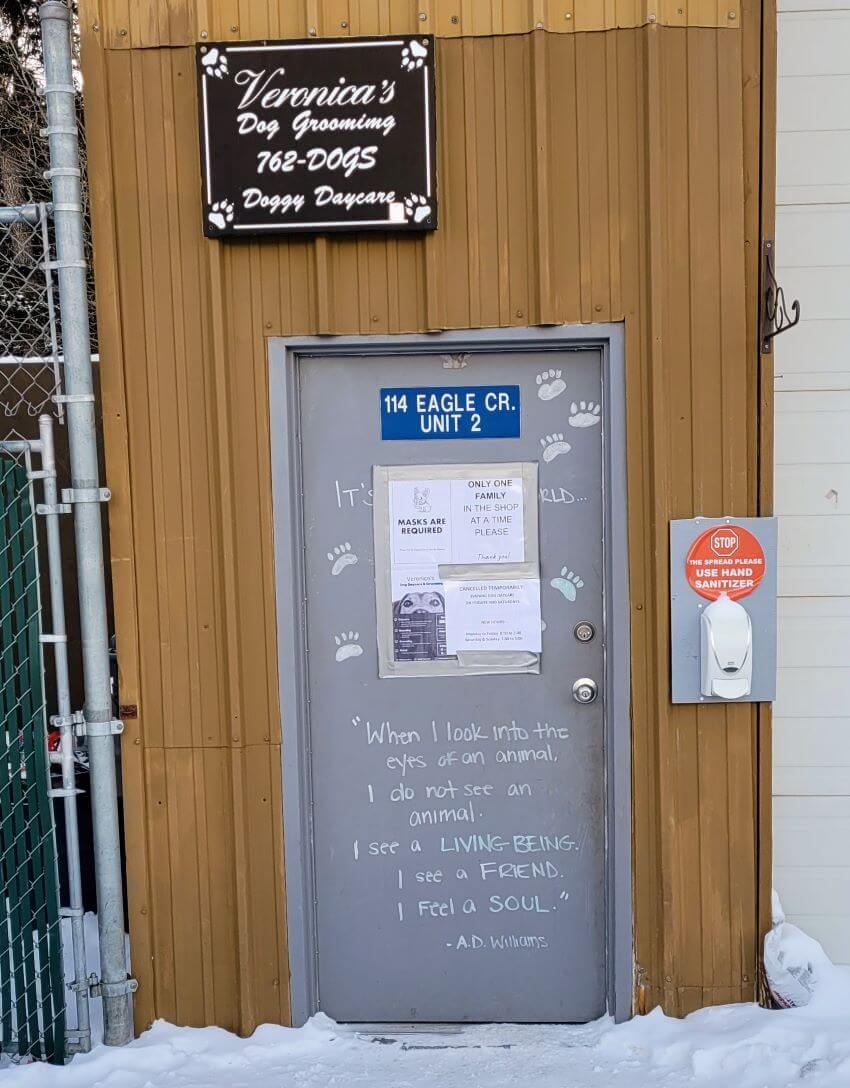 THINGS TO DO IN BANFF WITH YOUR DOG