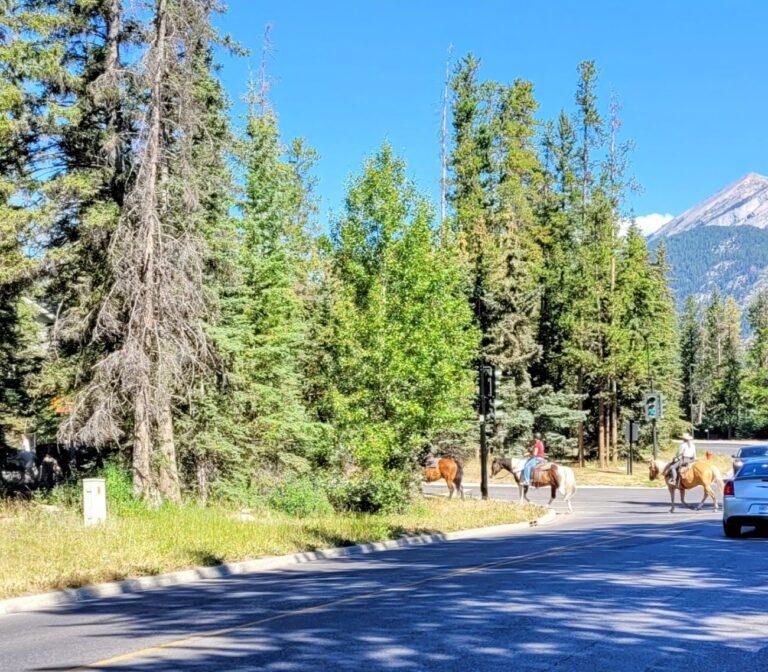 People horseback riding near downtown Banff in summer