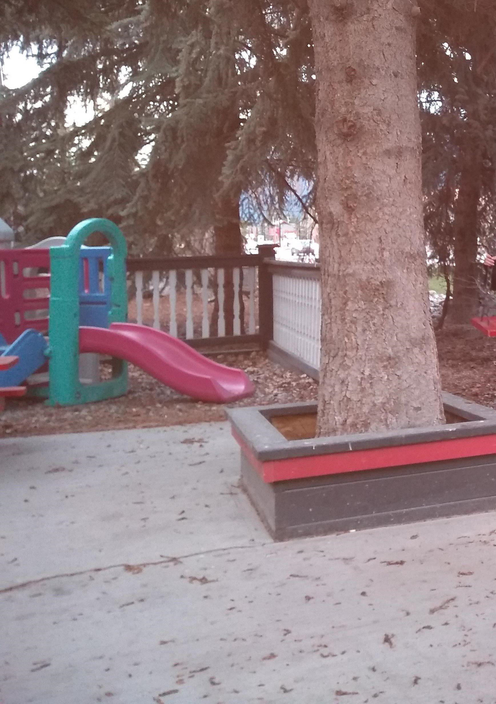 29 Dog Friendly Patios in Canmore Unleashed (2023)