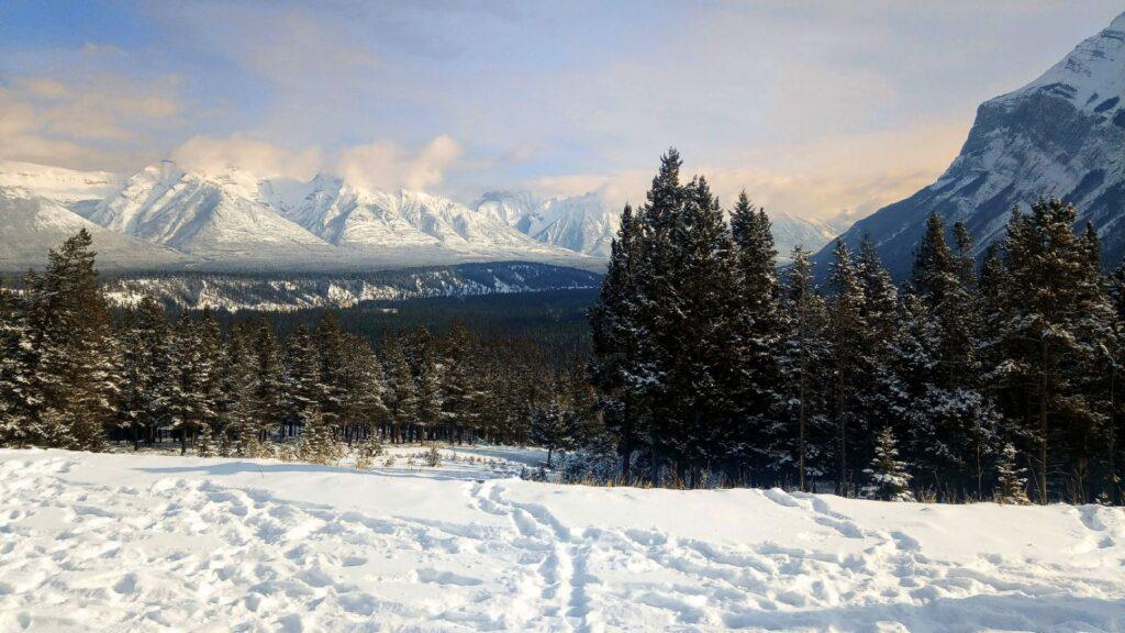 Snow covered Tunnel Mountain Road in Banff around January time