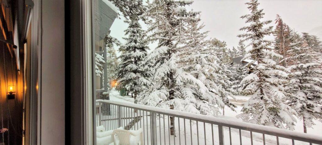 View looking out to the snow covered trees from a Tunnel Mountain Cabin at Xmas in Banff